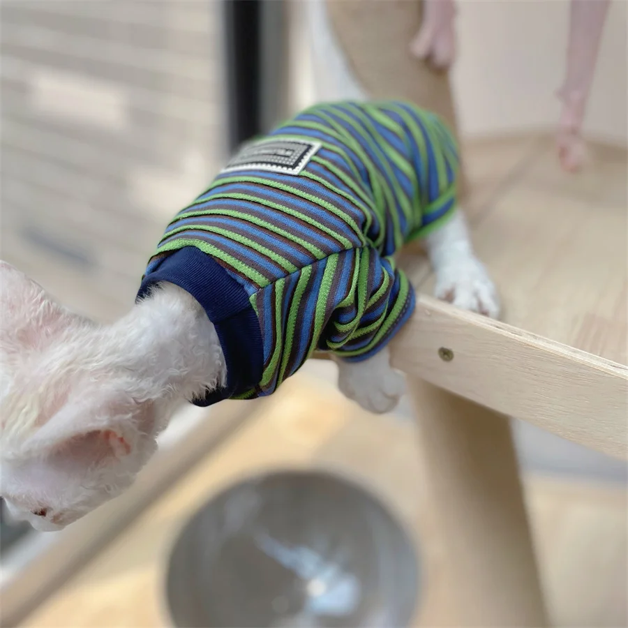 스핑크스 고양이 여름 패션을 위한 스트라이프 코튼 코트 봄에 데본 렉스를 위한 털이 없는 고양이 부드러운 라운지웨어를 위한 녹색 폴로 셔츠