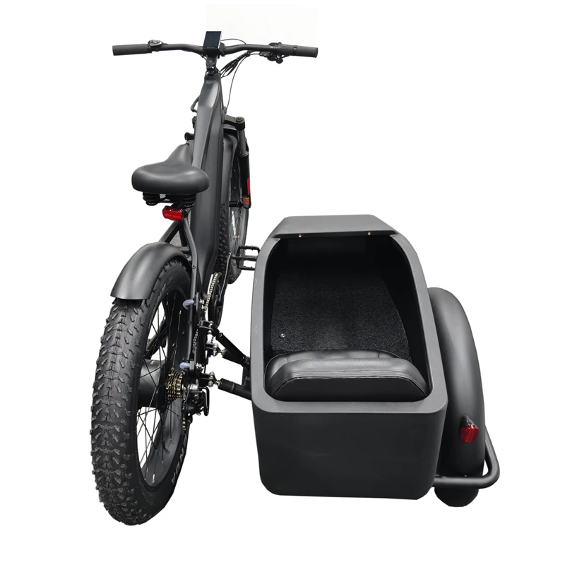 Side Car Fat Pedelec Customize 1000w E-Bicycle Sidecar Electric Bicycle Vintage E Bike 750w Retro Kid Delivery Trike