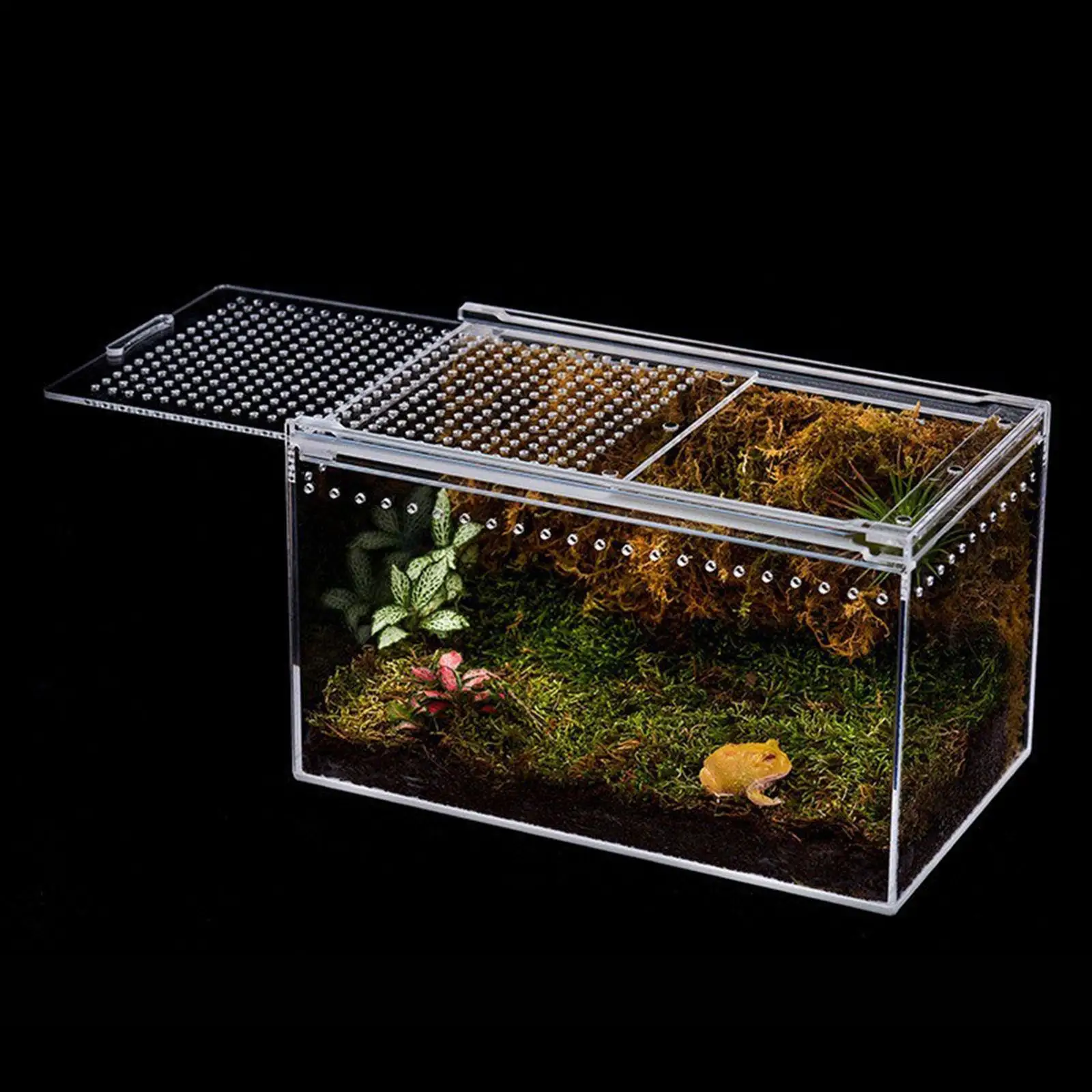 Reptile Terrarium Fish Tank Tarantula Enclosure Ventilation Reptile Habitat Container for Frog Snakes Terrapin Lizards Crayfish