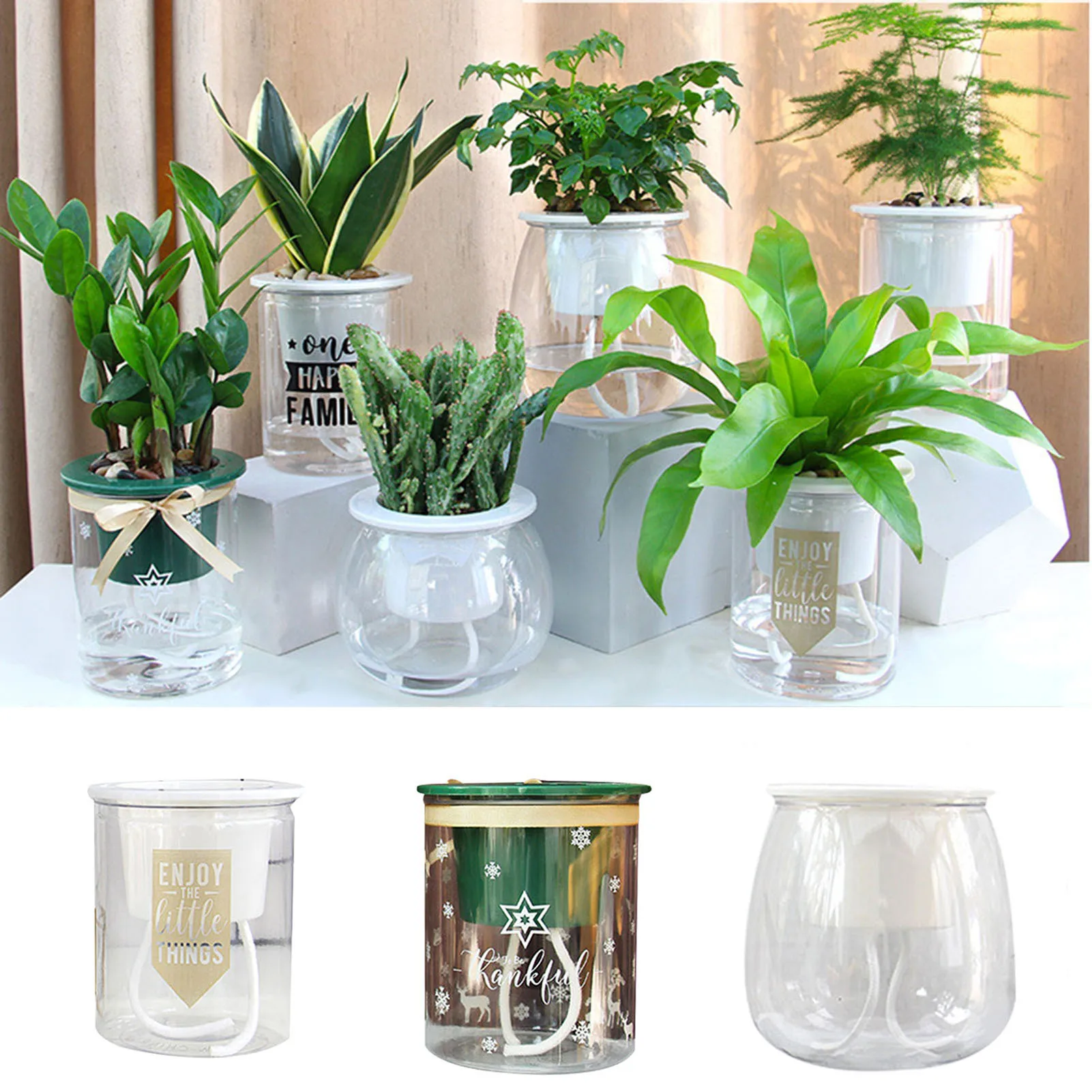 Self-Watering Indoor Planter with Absorbent Cotton Rope