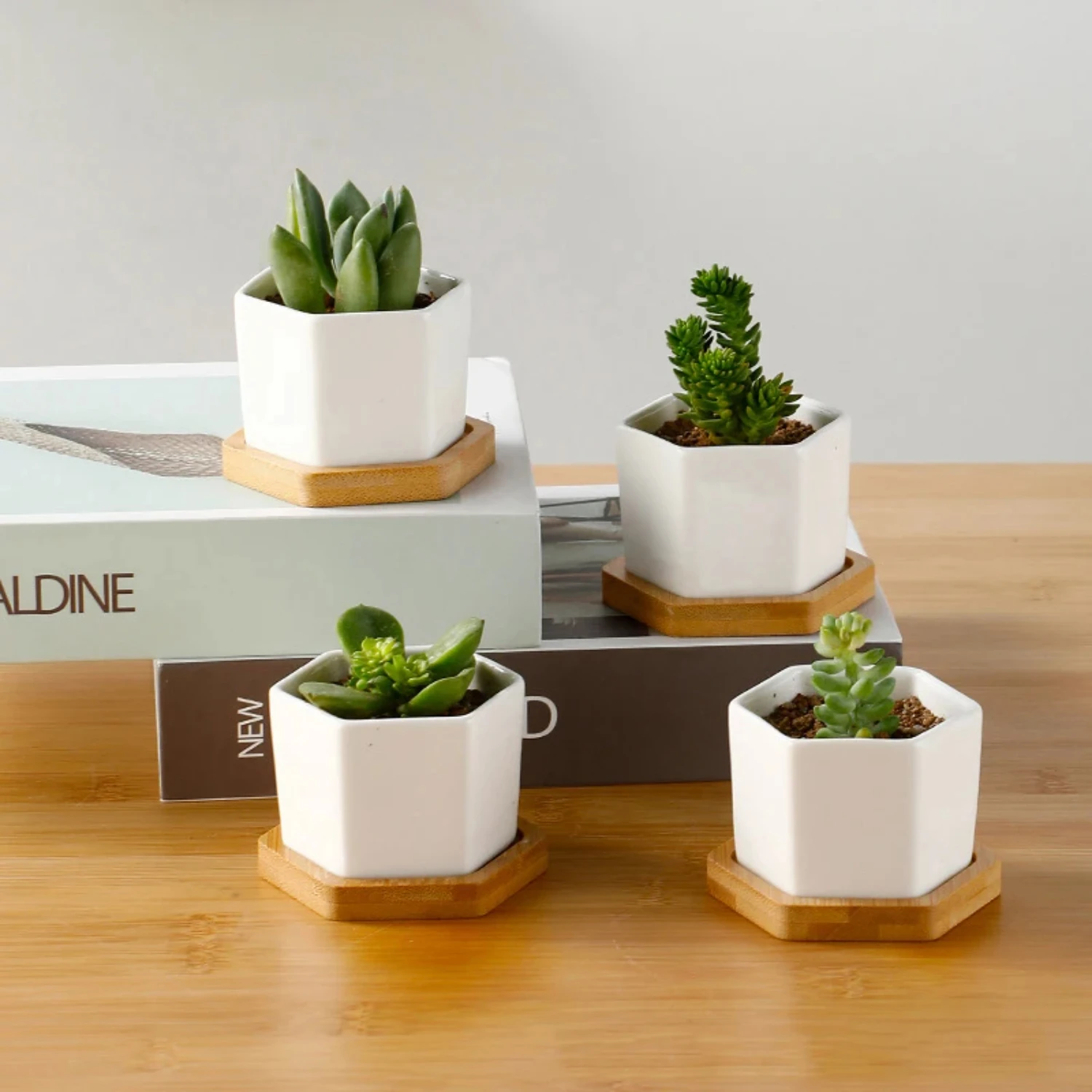 Simple European White Ceramic Hexagon Flowerpot with Tray for Succulent Plants and Bonsai - Small and Elegant Succulent Plant Co