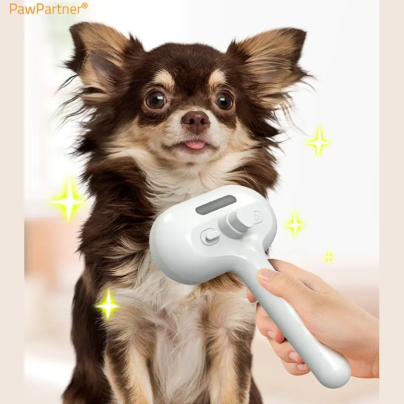 PawPartner    ü û ֿ    귯    Dematting   ̽Ʈ 