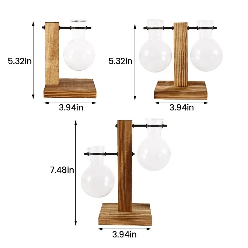 Hydroponic Glass Vase Set 6