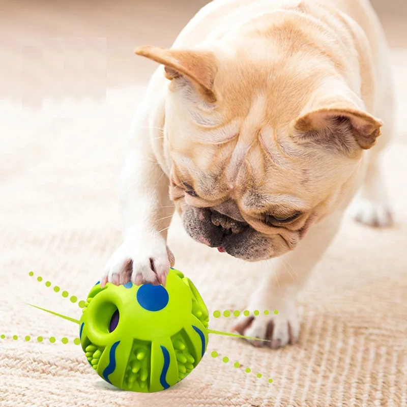 

Grinding dog toy ball rolling self-healing sound can't bite the boring artifact