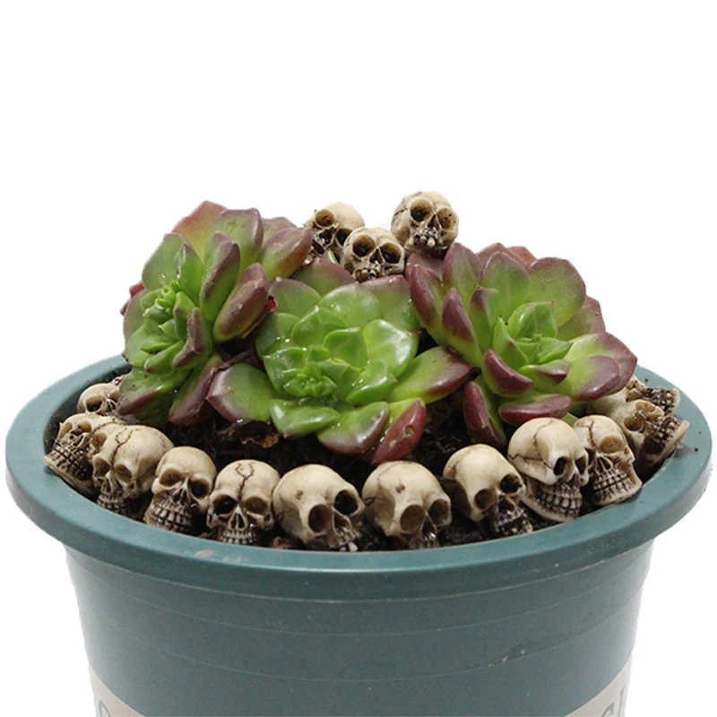 Creative Resin Skull Head Props Decoration Skull Landscape Garden Pot Decoration Halloween Ornament 20pcs/Lot