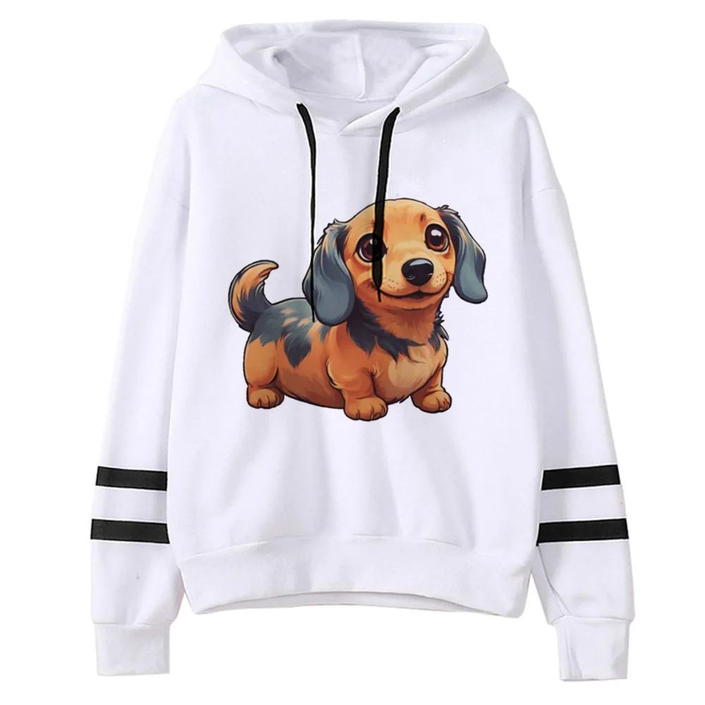 Perro Salchicha ĵ ϶  Ÿ,  ܿ , ʴ ҳ , Ʈ  Ÿ 