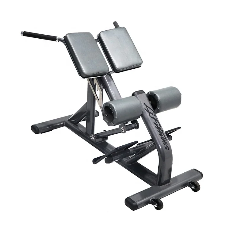 

Commercial Gym Equipment Machine Bodybuilding Roman Chair Bench Back Extension Bench