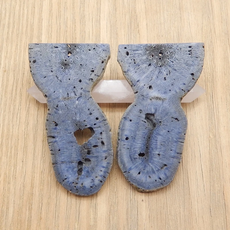 

Natural Stone Nugget Blue Coral Gemstone Freedom Pair Beads Fashion Jewelry Women Earrings Accessories 56x33x3mm 20g
