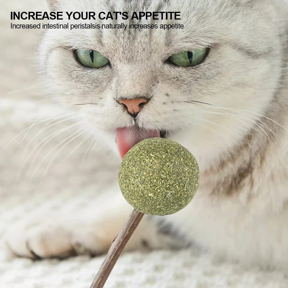 Cute Shape Freshen Catnip Ball Toy Cat Licking Playing Snacks Cat Mint Breath Mint Lollipop Toy Cat Supplies Pet Digesting Tool