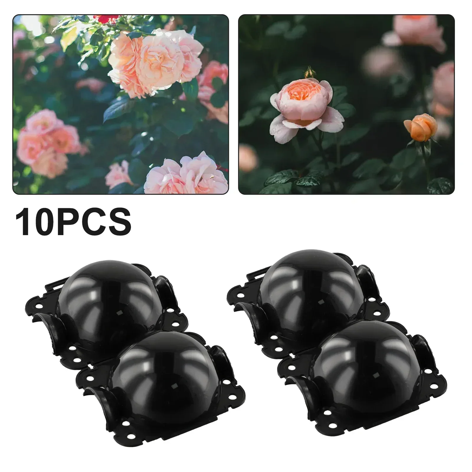 10Pcs PP Plant Rooting Ball Grafting Rooting Growing Box Garden Breeding Case High Pressure Propagation Ball Black Jardin