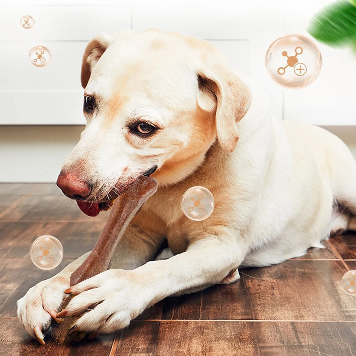 Healthy Dog Dental Sticks, Rich in Nutrients, Chicken & Milk Flavors, 28g Net Weight 2