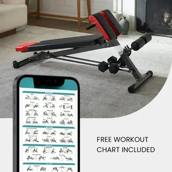 Multi-Functional Gym Bench Versatile Fitness Equipment Hyper Back Extension Roman Chair Adjustable Situp Flat Bench 6