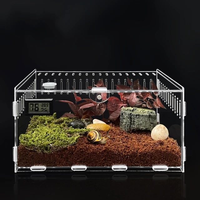 Insect Feeding Box Acrylic Clear Breeding Case for Spiders Reptiles Lizards Centipedes Small Snake 2 Size