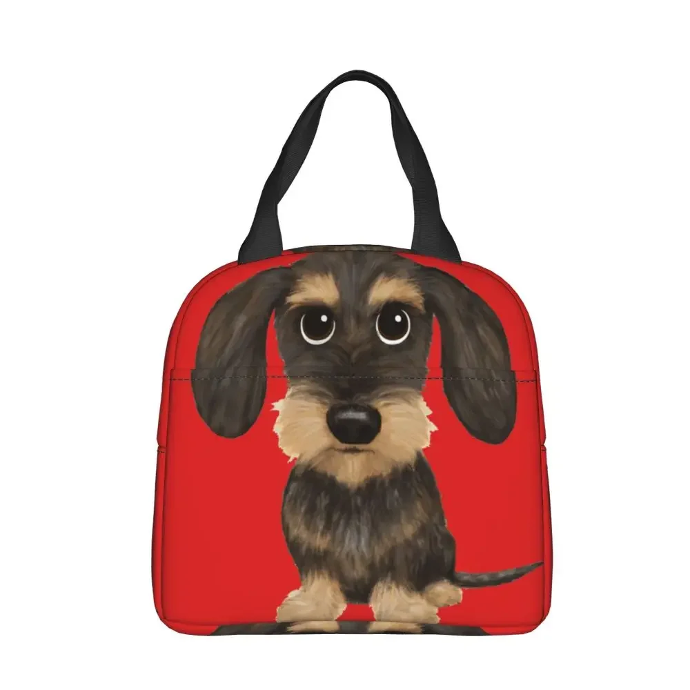 wirehaired-dachshund-lunch-bag-leakproof-thermal-bento-box-tote