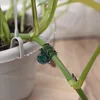 Dark Green 6-Claw Plant Clips 10-50Pcs Bundle Branch Climbing Stem Clasp Tied Orchid Flowers Support Clamps Plant Accessories 3