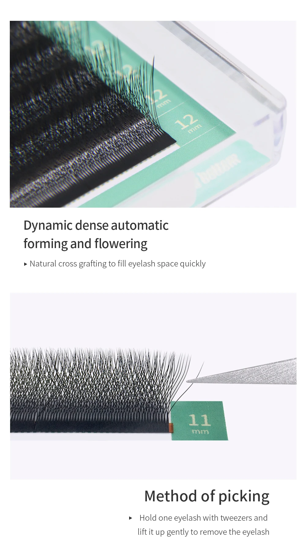 GLAMLASH 4D Eyelash Extension Image 6