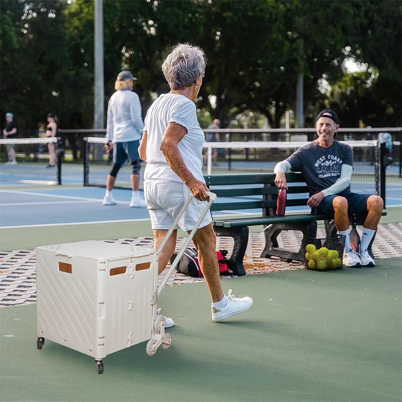 Folding Shopping Cart Lightweight Brushed Trolley Luggage Trolley Express Folding Shopping Cart for Climbing Stairs Home Hand Pull