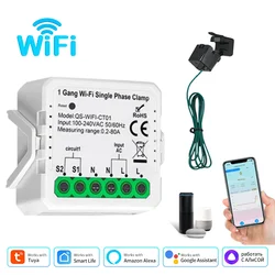 WiFi Dual Phase Smart Energy Meter with APP Control (1CH)