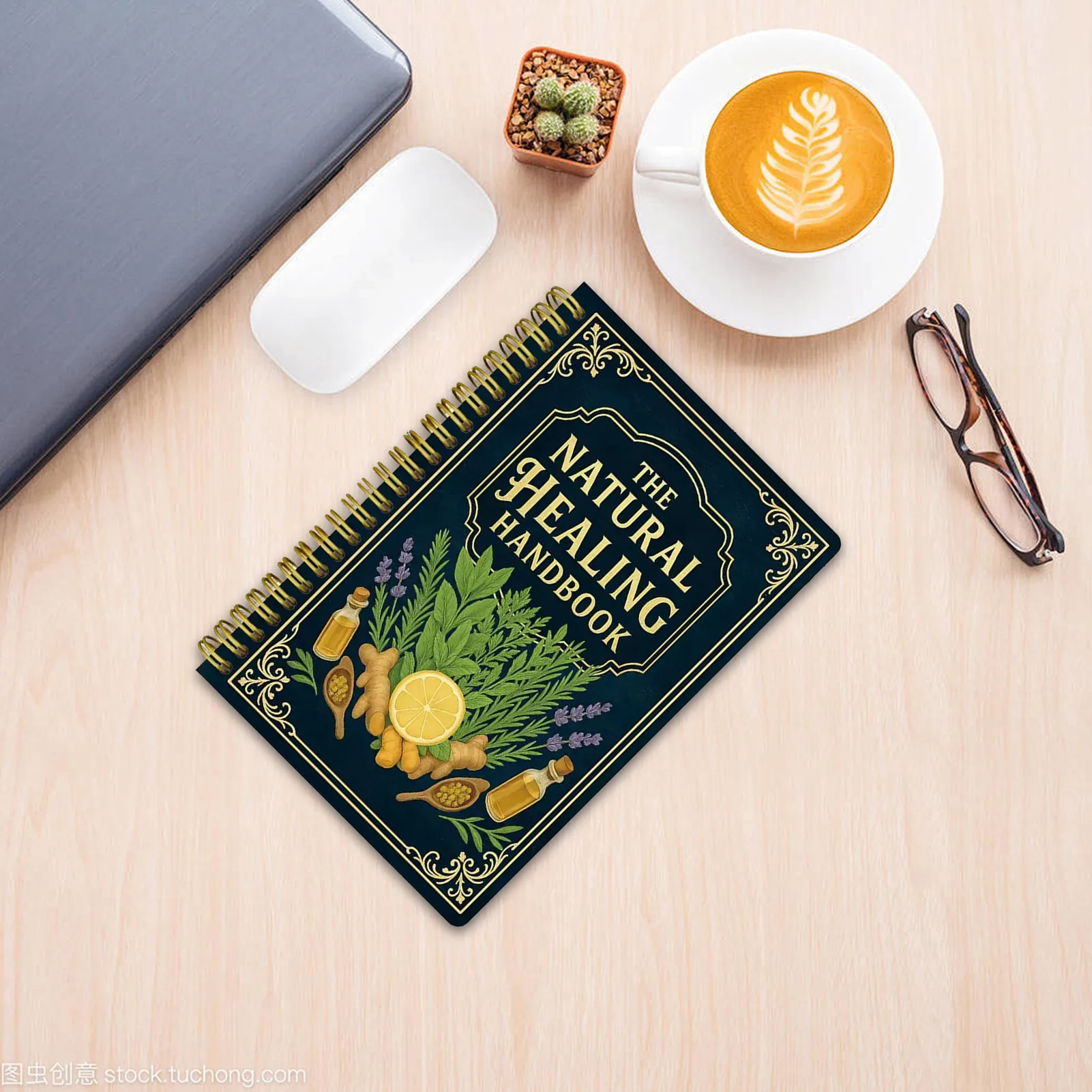 Natural Healing Handbook Guide 2