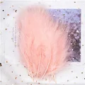 Champagne 50pcs