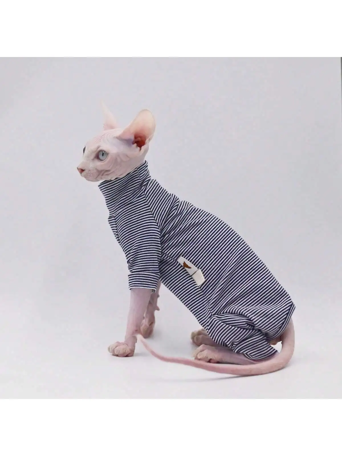 Sphynx Cat Leisure Clothes 6