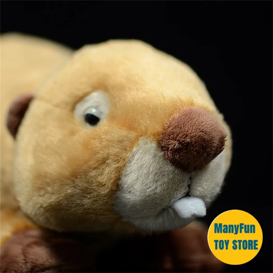 Beaver High Fidelity Anime Cute Otter Plushie Lutra Plush Toys Lifelike Animals Simulation Stuffed Doll Kawai Toy Gifts For Kids 4