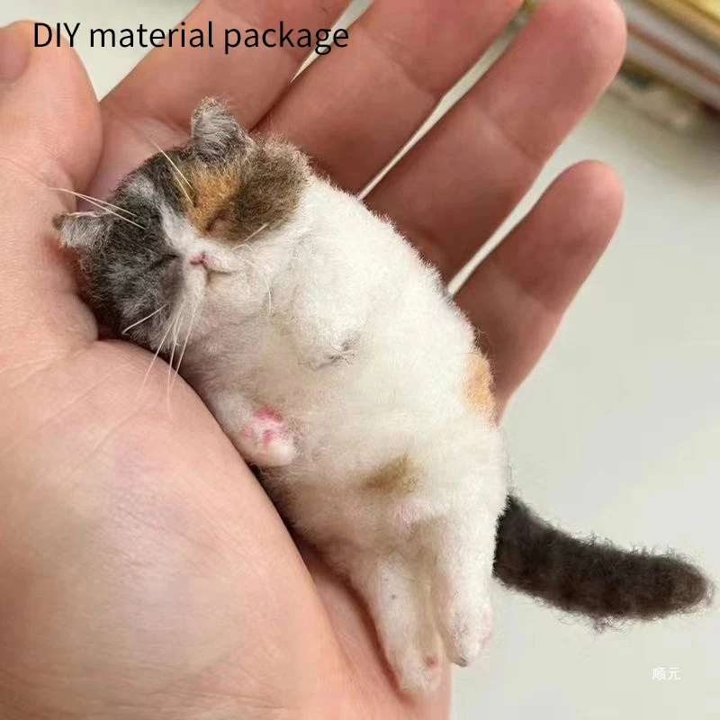 Wool Felt DIY Poke Material Package DIY Wool Felt Needle Simulation Cat Poke Material Package Hand-brain Coordination Training
