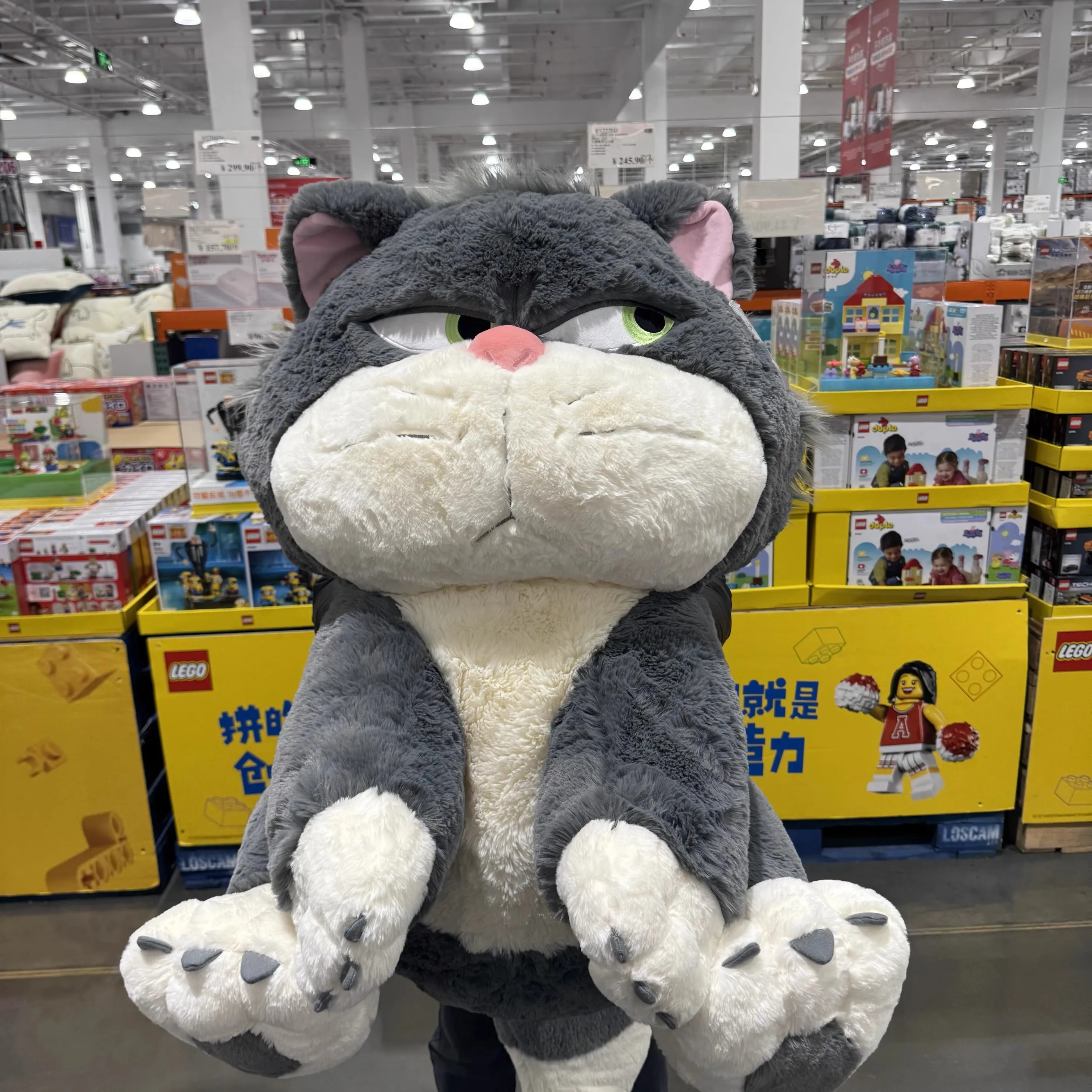 Sd6f39e0cb85c40e29dcc7729c2856