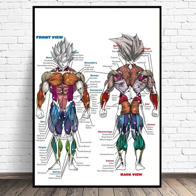 The Anatomy of the Art of Dragonball Part 3: Still Panels as