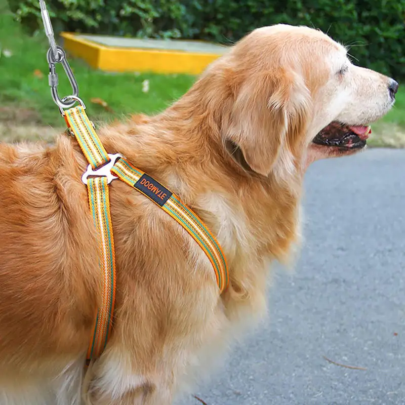 3m-15m Stainless Steel Pet leash Clothesline Portable Windproof Indoor/Outdoor Clothes Drying Camping Supplies Clothes Line