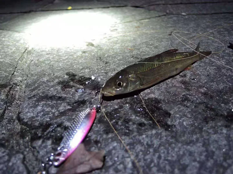 Metalllöffel Angelköder 2,5 g 3,5 g 5 g Metall Jig Pesca Micro Köder Pailletten für Fluss Bach Süßwasser Bass Hecht Forelle – Detail 6