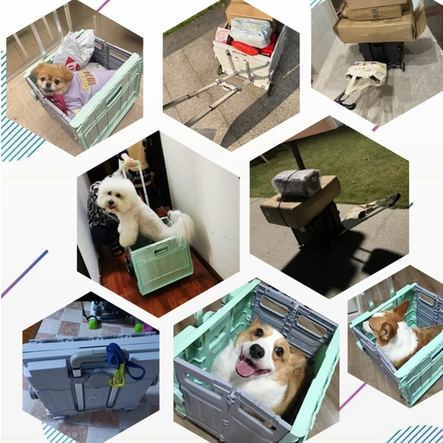 Új Hordozható Otthoni Használatú Élelmiszerbolt Kosár Expressz Összecsukható Bevásárlókosár Húzó Rúd Sofőr Kocsi Kis Piknik - Image 6