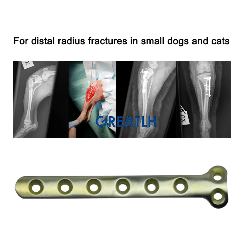 Orthopedic Surgical Titanium Plates T Type Bone Plate for Distal Radius Fracture Veterinary Orthopedic Instruments 1pc, veterinary surgical instruments,orthopedic instruments