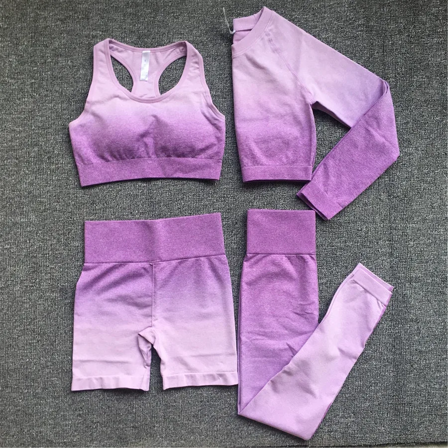 Seamless Women Fitness Yoga Set Ombre Squat Proof Workout Gym Leggings - sports