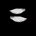 BMW Angel Wings