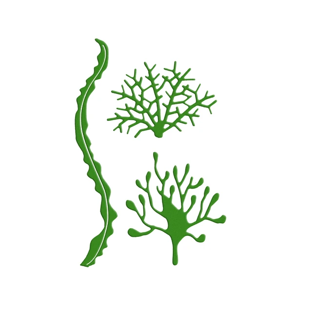 Seaweed Stencils