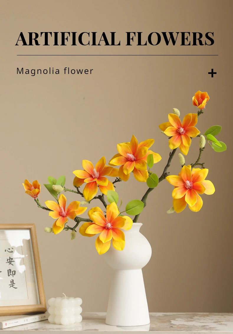 娜拉小西湖玉兰_01.jpg