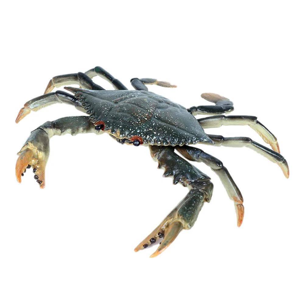 

Sea Animals Simulation Crab Model Display Models Solid Plastic Educational Playthings Children's Toy Baby