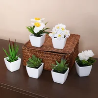 6PCS, artificial plants small bonsai, DIY crafts desktop windowsill display rack display decoration 4