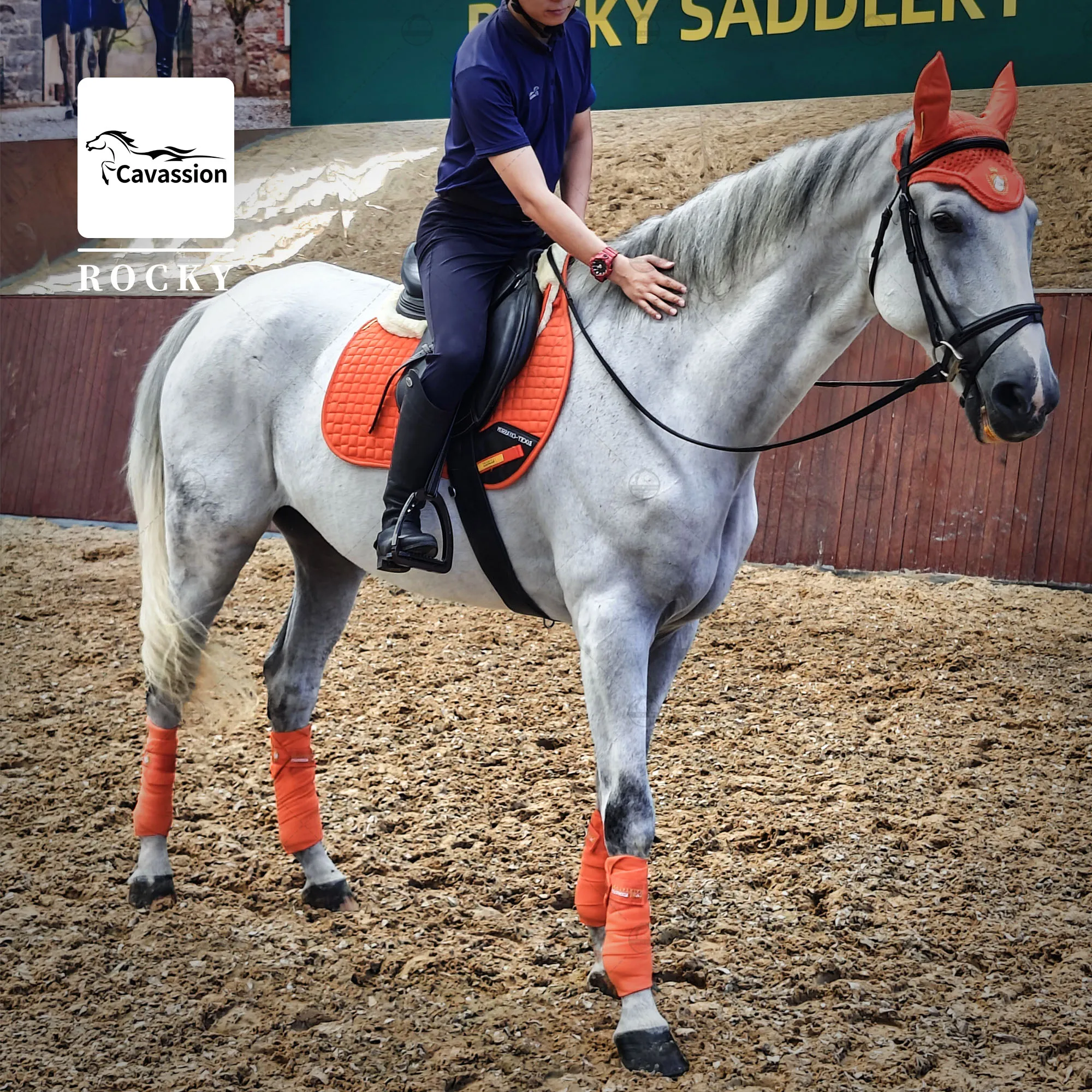 Apenas a corda de chumbo do cavalo não inclui equipamento de treinamento de  equitação, como capas de orelha de cavalo, almofadas de sela, bandagens de  pernas e cavilhas - AliExpress, image size:2000x2000