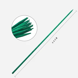 Bamboo Plant Support Sticks - Pack of 20 Eco-Friendly Green Garden Rods for Flowers and Climbing Plants (20Pcs)