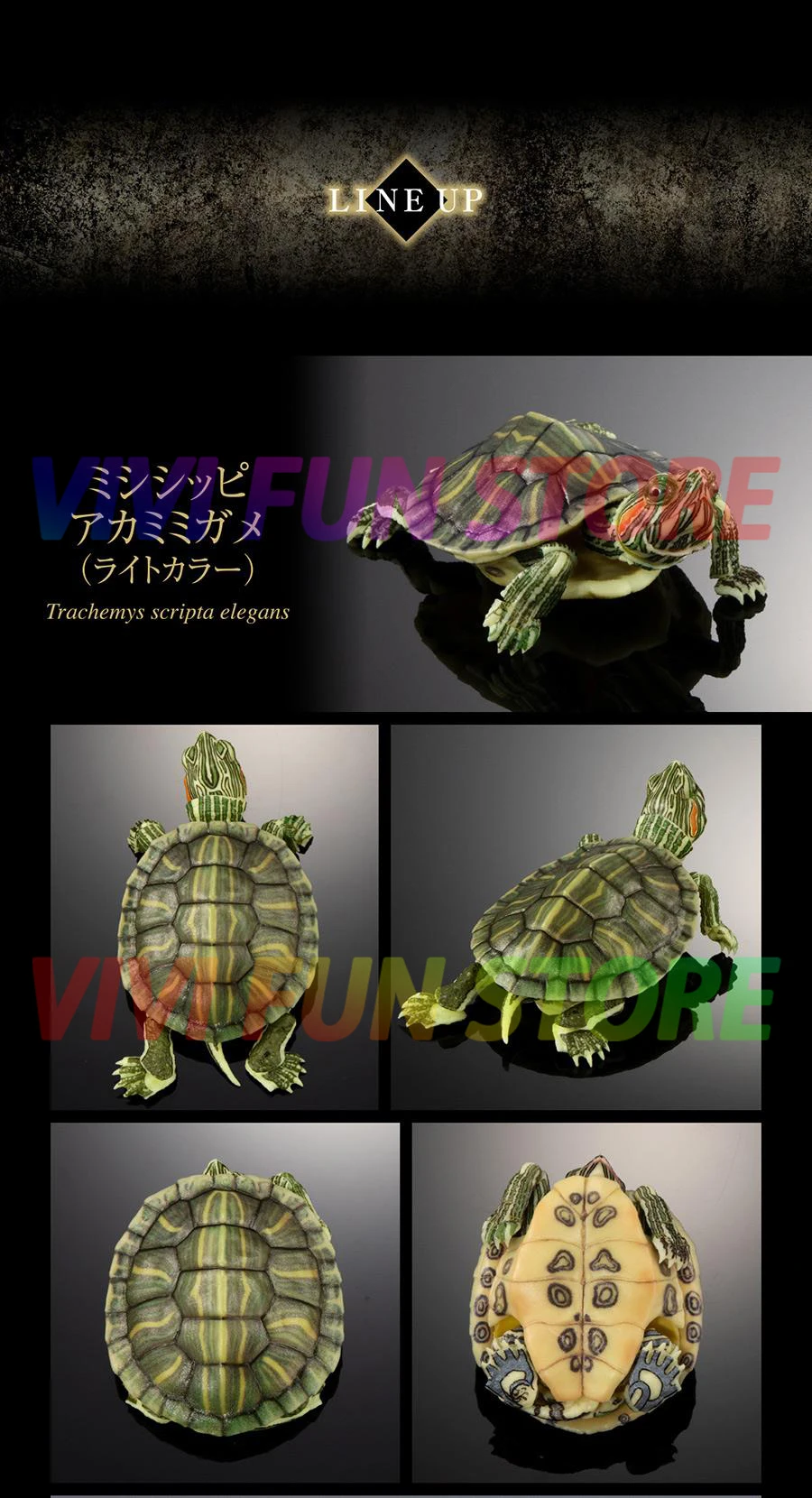 재고 반다이 가샤폰 에그, 붉은귀 슬라이더의 큰 생물 지도, 붉은귀 거북이 거북이 이동식 모델 가챠 장난감 - AliExpress