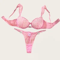 Lingerie audacieuse pour femmes, ensemble soutien-gorge et culotte en Tulle rose, broderie délicate, sous-vêtements romantiques pour femmes, Lingerie intime et Sexy 1
