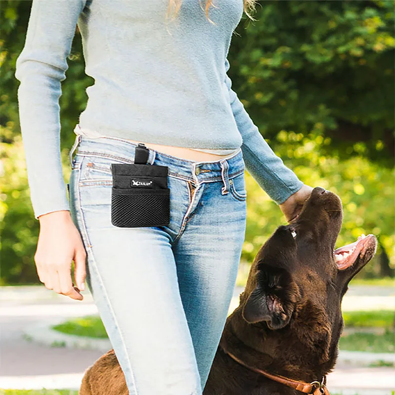Portable Dog Training Snack Bag 3