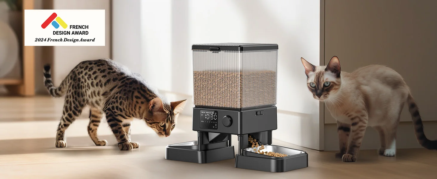 cat feeder for 2 cats