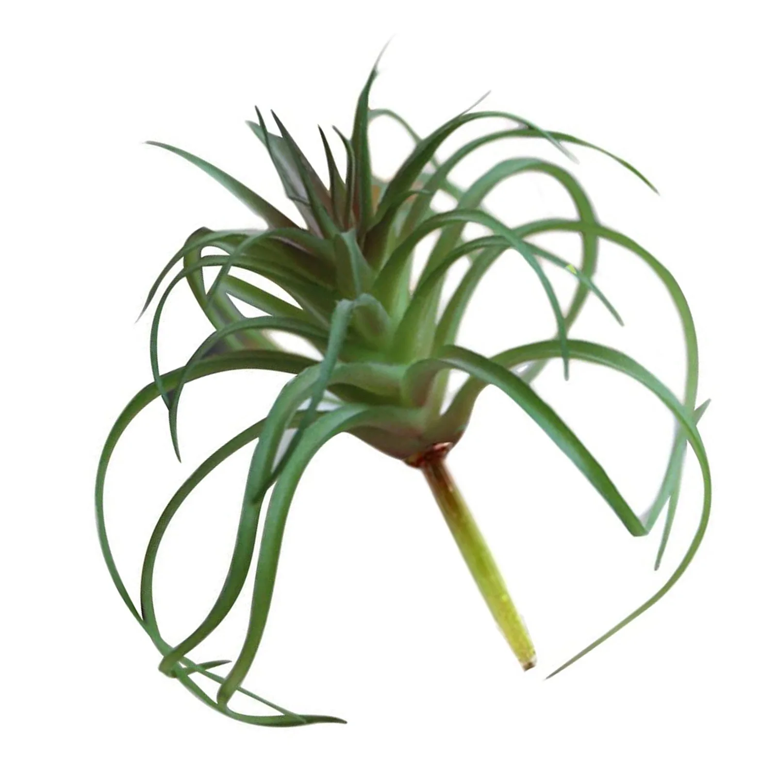 Artificial Fake Tillandsia Artificial Air Plant For Home Decor DIY