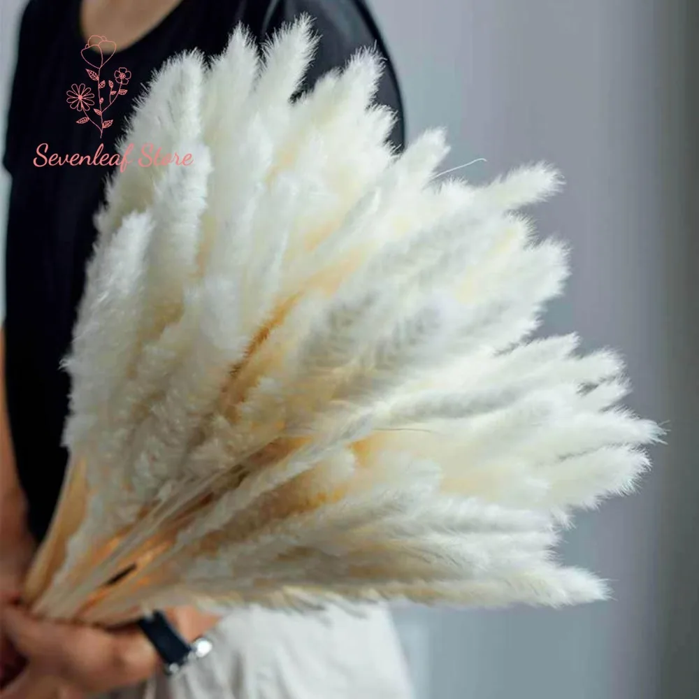

15/30pcs Nature Pampas Grass Dried Flowers Bouquet Nordic Wedding Decoration DIY Boho Home Party Arrangement Artificial Plants