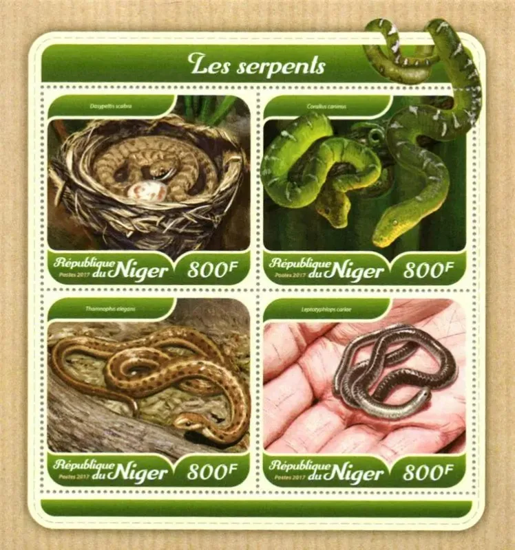 Niger,2017, Serpente Zoodico Cinese, Rettili Rari, Serpenti Les, Timbro Animale, Serpente, Alta Qualità, Ms Nuovo