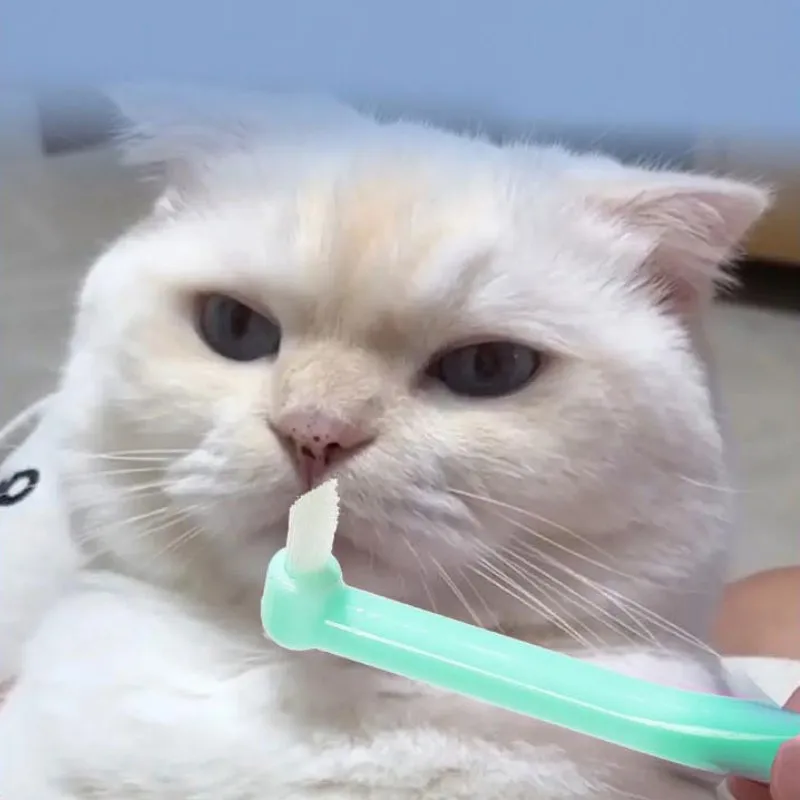 Cat Toothbrush Oral Care Pet Toothbrushes Small Heads Teeth Brush for Cats Mouth Cleaning Soft Hair Cat Toothbrush Pet Supplies 3