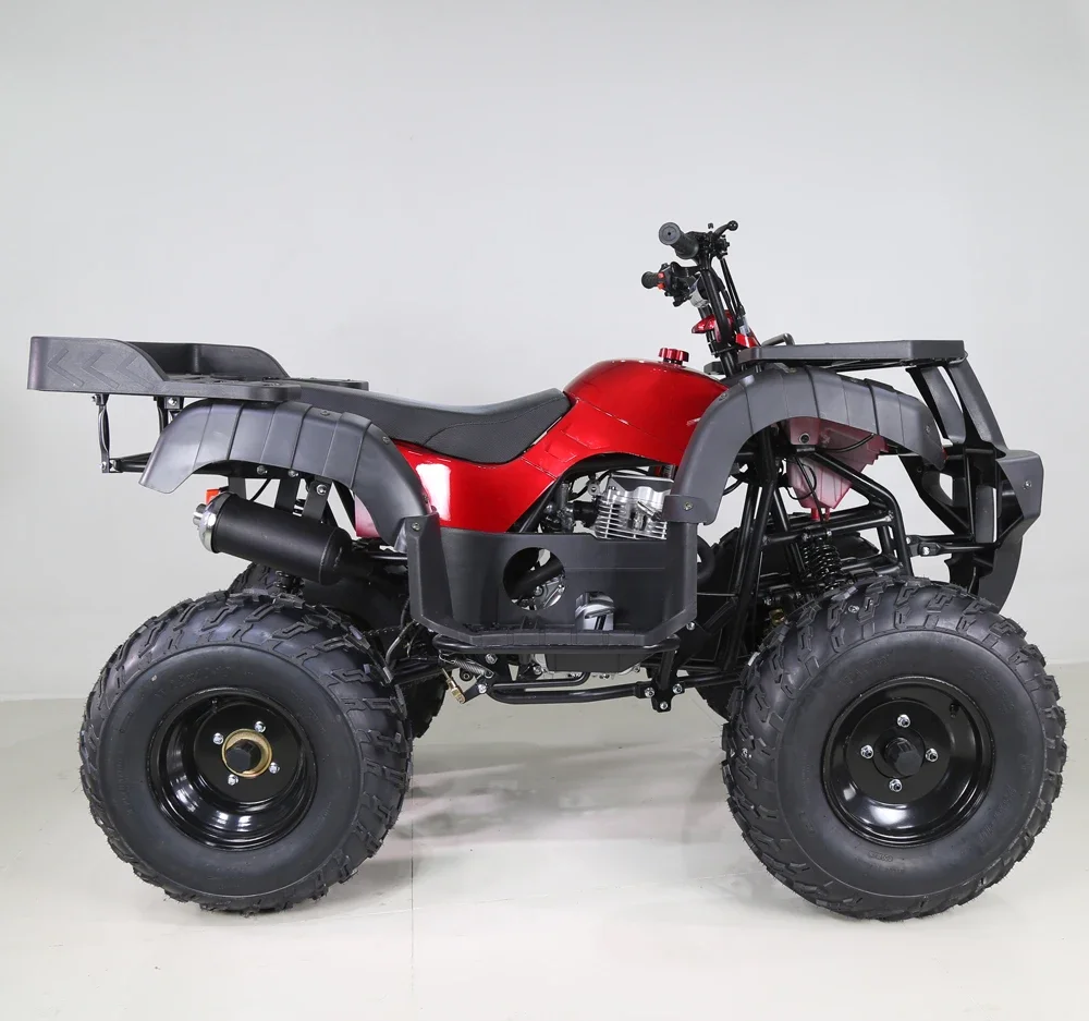 Рисунок 6 - Tao Motor ATA250-D2 ATV QUAD 250cc